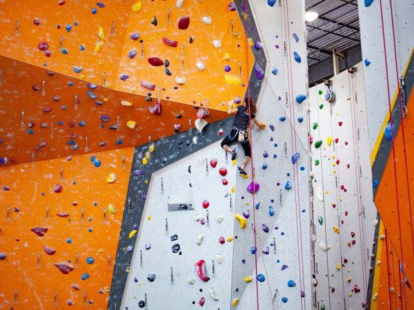 Aufnahme einer Kletterwand in einer Halle, an der gerade an eine Frau mit Sicherung klettert.