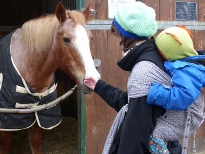 Natalie und Noah begrüßen ein Pferd. Noah ist in der Tragehilfe von emeibaby.