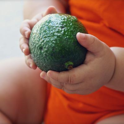 Ein Baby hält eine Avocado in der Hand.