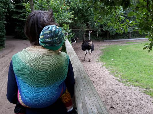 Tragen im Lisca Regenbogen Noah wird von mir im Einfachen Rucksack getragen. Ich trage mit dem Lisca Regenbogen von didymos.
