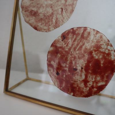Ein Memento an die Geburt. Ein Bilderrahmen mit Fruchtblasenkreisen, genannt Amnionmonde.