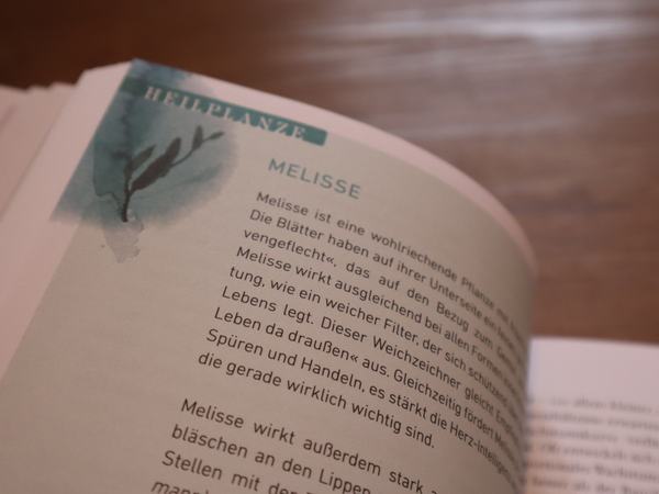 Aufnahme einer Buchseite mit der Beschreibung einer Heilpflanze.