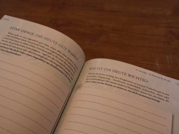 Detailaufnahme einer Buchseite mit Platz für eigene Notizen über wichtige Dinge und Dankbarkeit.