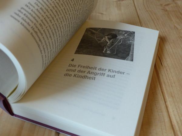 Detailaufnahme des Titelbildes zum 4. Kapitel des Buches Menschenkinder.