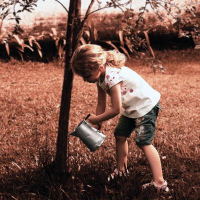 Ein kleines Mädchen wässert alleine mit einer Gießkanne einen Baum.