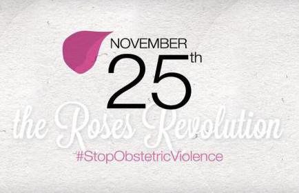 Am 25. November ist Roses Revolution Day