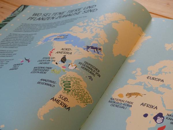 Detailaufnahme der Weltkarte.